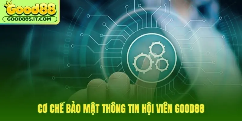 Chính sách bảo mật nhiều lớp cho truyền tải và lưu trữ
