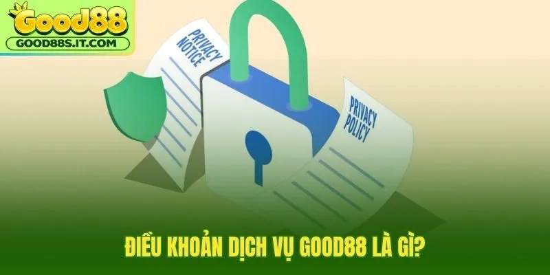 Điều khoản dịch vụ và ranh giới trách nhiệm